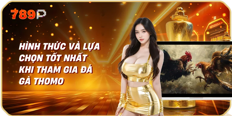 Đá gà Campuchia Thomo Trực Tiếp Trải Nghiệm Không Thể Bỏ Lỡ 4 Hình thức và lựa chọn tốt nhất khi tham gia đá gà Thomo